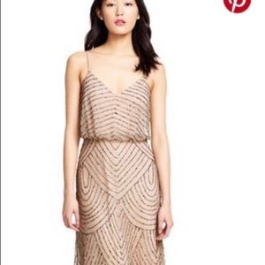 Adrianna Papell dress